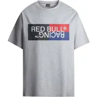 Red Bull Racing Camiseta gris / mezcla de colores