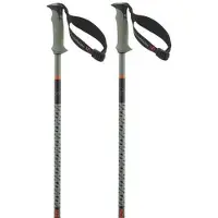 Salomon - Polar Pro S3 - Bastones de esquí size 135 cm, verde