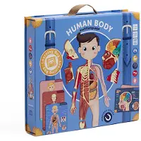 Eurekakids Cuerpo Humano Magnético Multilingüe