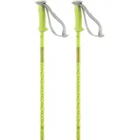Salomon Bastones Polar