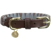 Kentucky Collar Para Perro Triangle