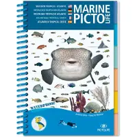 Pictolife Guía Caribean Marine
