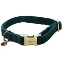 Kentucky Collar Para Perro Velvet