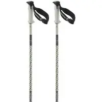 Salomon - Polar Pro S3 - Bastones de esquí size 100 cm, blanco