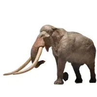 Eofauna Elefante De Colmillos Rectos Figura 1:35