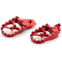 Puig Estriberas Anchas Off-road Bmw R1300gs Adventure 2025