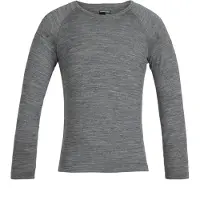 Icebreaker - Kids 200 Oasis L/S Crewe - Ropa interior merino size 116, gris