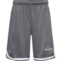 Dropsize Pantalón gris / blanco