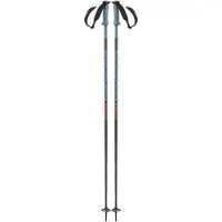 Salomon Bastones Polar Pro