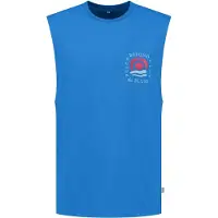 Shiwi Beyond The Blues Sleeveless T-shirt Skydive Blue Talla: S | Camisetas sin Mangas Outlet | Hombre | Azul