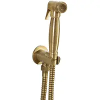 Hak Sapho, rociador para bidé de estilo retro, con manguera y soporte para ducha, compatible con conexión de ducha, color bronce