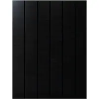 Phaesun Módulo solar Sun Pearl 150, 12 V, 150 Wp, marco de aluminio monocristalino, color negro