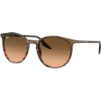 Ray-Ban - Marcas - RB2204 Polished Striped Brown Red Pink Black - Marrón