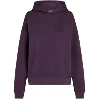 O'Neill The Future Surf Society Hoodie Aubergine Talla: L | Sudaderas con Capucha Outlet | Mujer