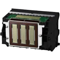Canon Cartucho De Tinta Pf 10