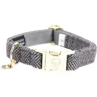 Kentucky Collar Para Perro Wool
