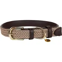 Kentucky Collar Para Perro Nylon Plaited