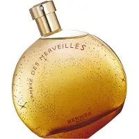 Hermès Paris Hermès L'Ambre des Merveilles Eau de Parfum Mujer 100 ml — Eau de Parfum
