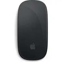 Apple Magic Mouse superficie Multi-Touch USB-C - Negro
