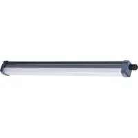 Philips , Resistente al agua, Empotrado, 1 bombilla, 4000 K, IP65, Gris