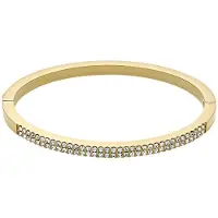 Fossil Pulsera 'Ellis' oro / transparente