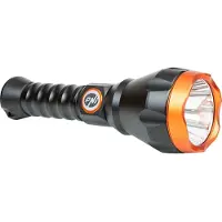 Pni Linterna F550 10w