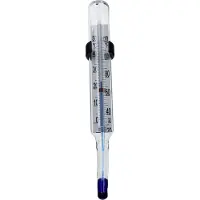 Kaiser Termómetro De Bandeja