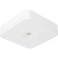 Fischer Lámpara de seguridad EB 1/3/8h 1W IP20 SLM-D31USC (SLM-D31USC)
