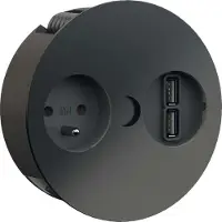 Bachmann Cargador TWIST 1xUTE 1xUSB, color , RAL9005 30GE, con cable de 2 metros