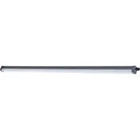 Philips 8719514955455, Empotrado, 1 bombilla, 6500 K, IP65, Gris