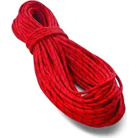 Tendon - Pro Work 11 - Cuerda estática size 50 m, rojo