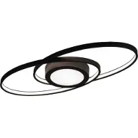 TRIO Lámpara de techo LED Reality Galaxy VIGO+AB13, color antracita