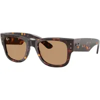 Ray-Ban Gafas de sol '0RB0840S' marrón / marrón oscuro