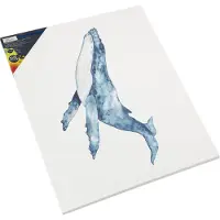 Nassau Libro De Colorear K-ar1007/ge