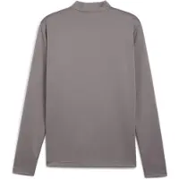 Puma Camiseta funcional 'TeamGoal' gris / grafito / blanco