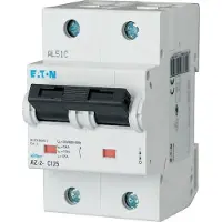 Eaton Interruptor automático LS, 80A, 2 polos, curva D, referencia 211823