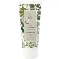 Raunsborg Limpiador Fragrance Free 100 Ml