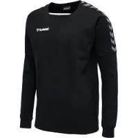 Hummel Sudadera Authentic Training