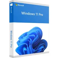 Microsoft Sistema Operativo Ms Sb Windows 11 Pro 64bit Fr
