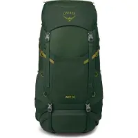 Osprey - Mochilas para niños - Ace 50 Green Canopy/Matcha - Verde