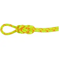 Mammut - 9.5 Alpine Core Protect Dry Rope - Cuerda simple size 70 m, amarillo