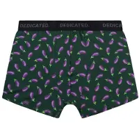 DEDICATED - Boxer Briefs Kalix Egg Plant - Ropa interior de diario size S, verde