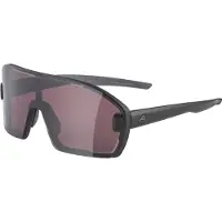Alpina - Bonfire Mag Q S1 + Black S2 - Gafas de sol gris
