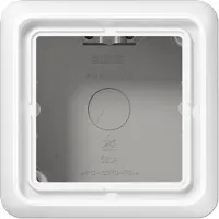 JUNG Tapa para interruptor AP con marco, 1 elemento, CD 581 A, color blanco (WW), marca Albrecht , modelo CD581AWW