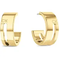 Calvin Klein Pendientes 'GEOMETRIC ESSENTIALS' oro