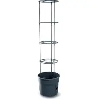 Prosperplast Maceta Tomatoes 29.5x29.5x 31.5-153 Cm