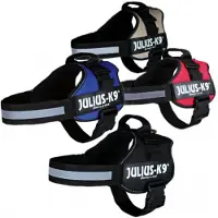 Julius-K9 Power Arnés - M - Negro