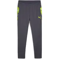 Puma Pantalón deportivo 'IndividualCUP' gris / lima