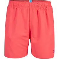 Arena Fundamentals Boxer R Calypso Coral-dark Purple Talla: XXL | Bañadores Outlet | Hombre | Púrpura