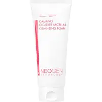 Neogen - Dermalogy Calming Cica Tree Micellar Cleansing Foam JUMBO 200ml